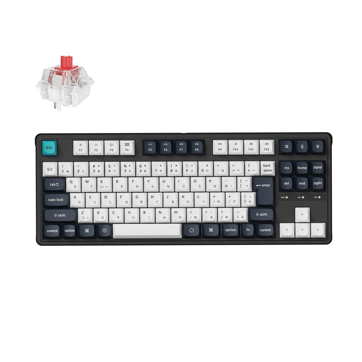 

Keychron C3 Pro Custom Gaming Compact Tenkeyless Mechanical PBT with and Linux Super Red Keyboard, Layout/JIS Layout/RGB Backlit/Wired