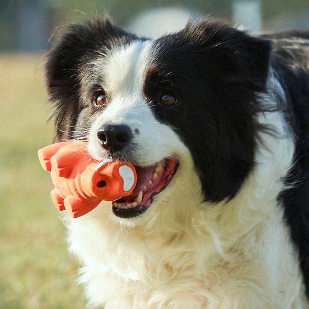 Latex Quiekendes Fliegendes Schwein Hundespielzeug Interaktives Zahnmahlspielzeug für Kleine Mittlere Große Hunde