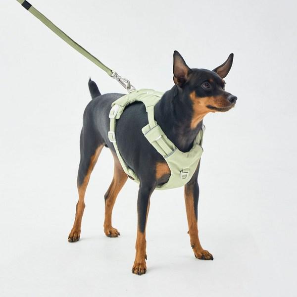 Far Pet Geschirr ohne Gurtband, Naviglio Grün