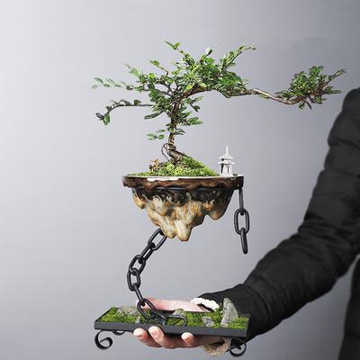 Iron Hanging Ornaments Chain Suspension Living Room Decoration Bamboo Succulent Moss Ball Landscape Basin Vase