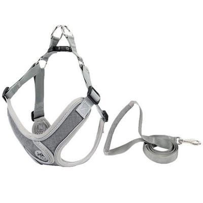 Hundar – Hundhalsband & Koppel
