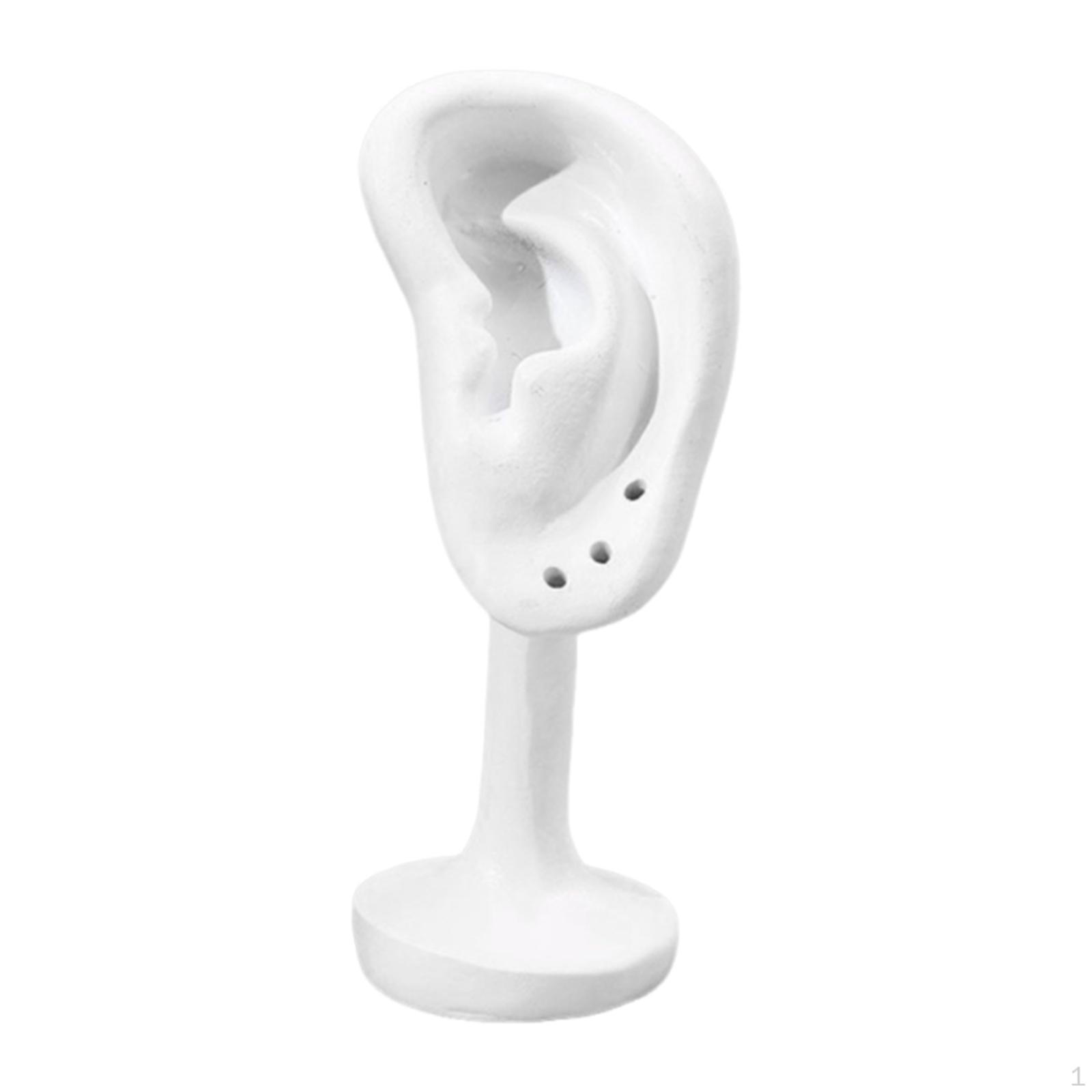 

Ear Model Earring Display Rack Shape Holder Gift Elegant Photo Props Stable Stud Organizer білий