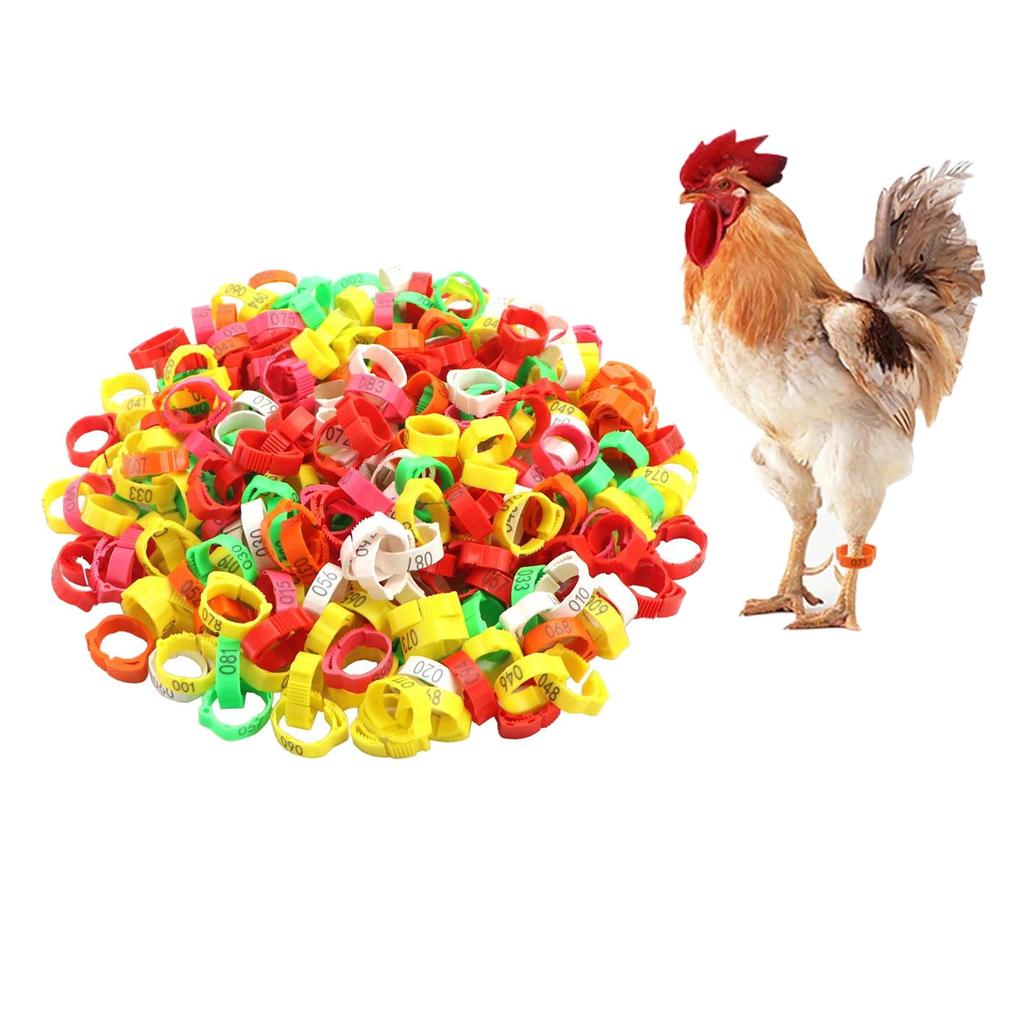 100Pcs Poultry Leg Bands Numbered Tag Markers Chicken Identification Band for Chickens Ducks Goose Poultry Identification Pigeon