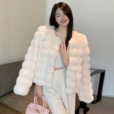 Mink Coats Autumn Winter Fluffy Faux Fur Coat Ladies Elegant Warm Faux Fur Jackets For Women