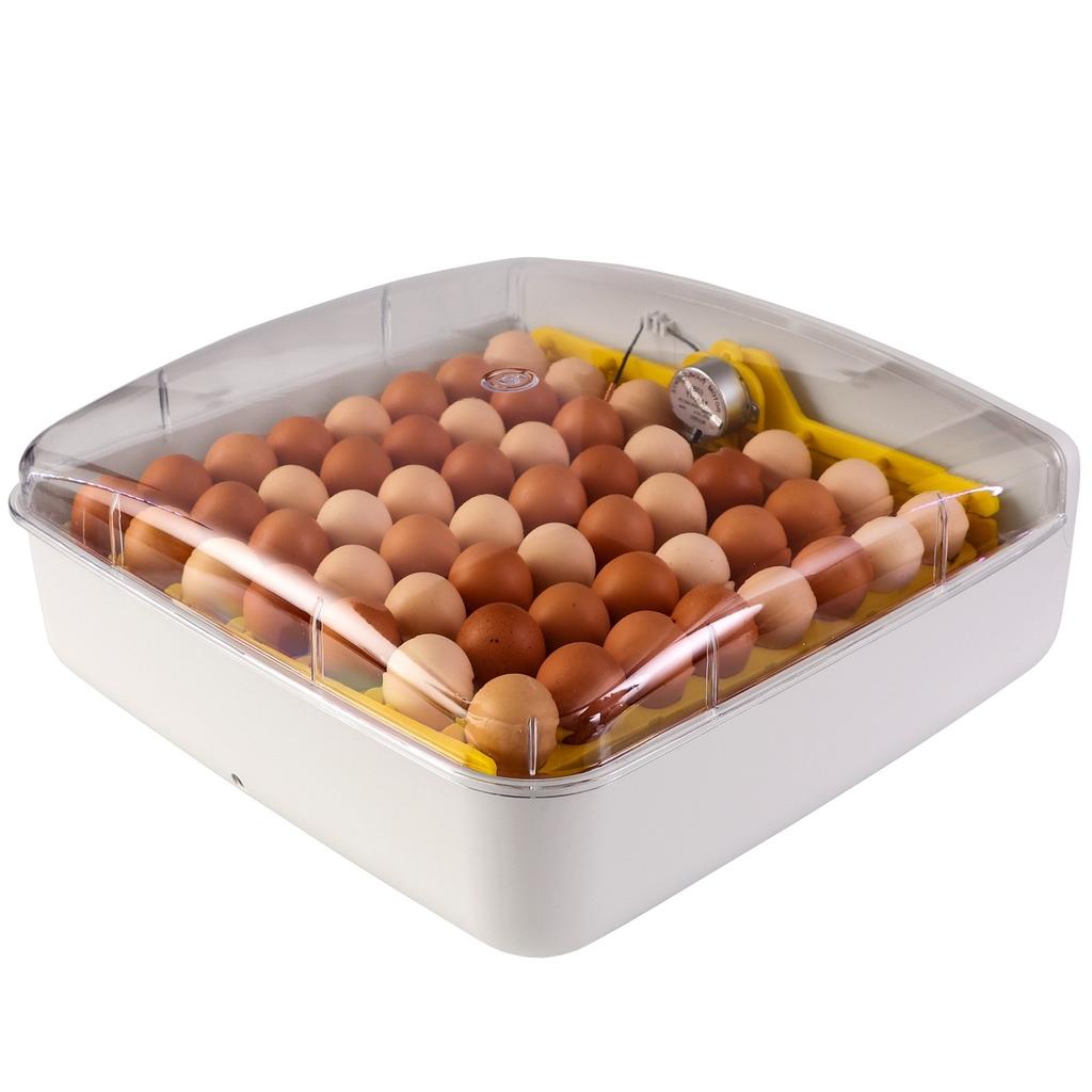 Kruger Meier Proeggora 56 Incubator with Auto Thermostat for 56 Eggs Agro Equipment