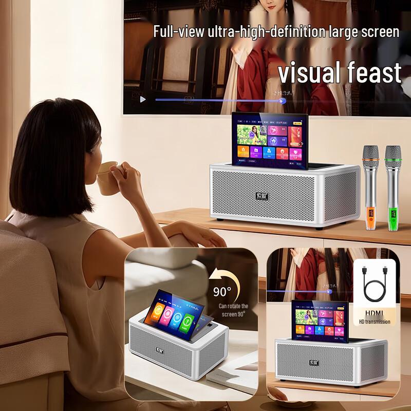 Soaiy SA-K2501 Home KTV Audio System with Microphone CN Plug (adapter Included)