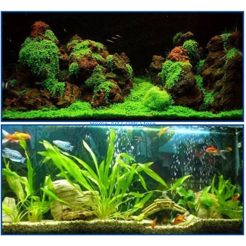 

Y3NA Fish Tanks Landscaping Aquarium No Marks Aquarium Supplies Aquarium Water Grass Fixing China Mainland