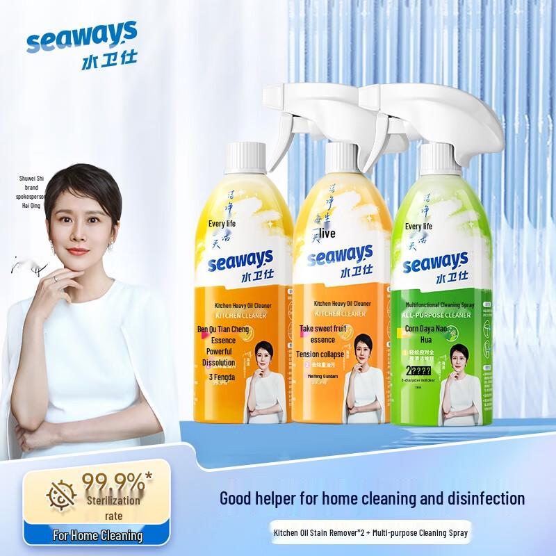 Shuiweishi 4-Piece Home Cleaning Kit W19