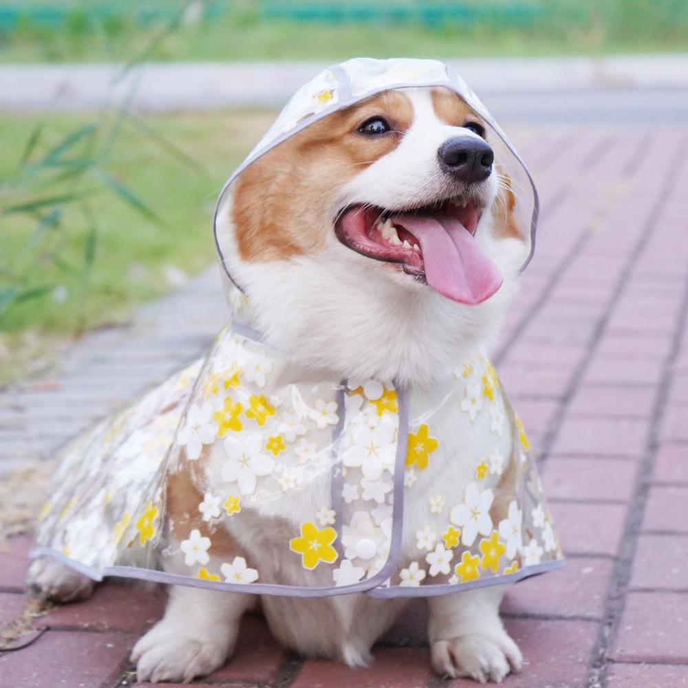Pet Dog Raincoat Cape Corgi Shiba Dog Teddy Magic Bucket All-inclusive Waterproof Clothes Poncho Small Dog