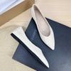 Fashion Flat Shoes for Women 2025 Spring and Autumn New Style Suede Pointed Shallow Mouth Soft Sole Large Size Women's Shoes