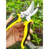 Stainless Steel Professional Gardening Shears Pruning Branches Fruit Trees Flowers Household Pruning Tools Shears