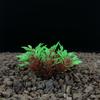 Aquatic Plant Mini Landscape: Fish Tank Simulation with Seaweed and Succulents