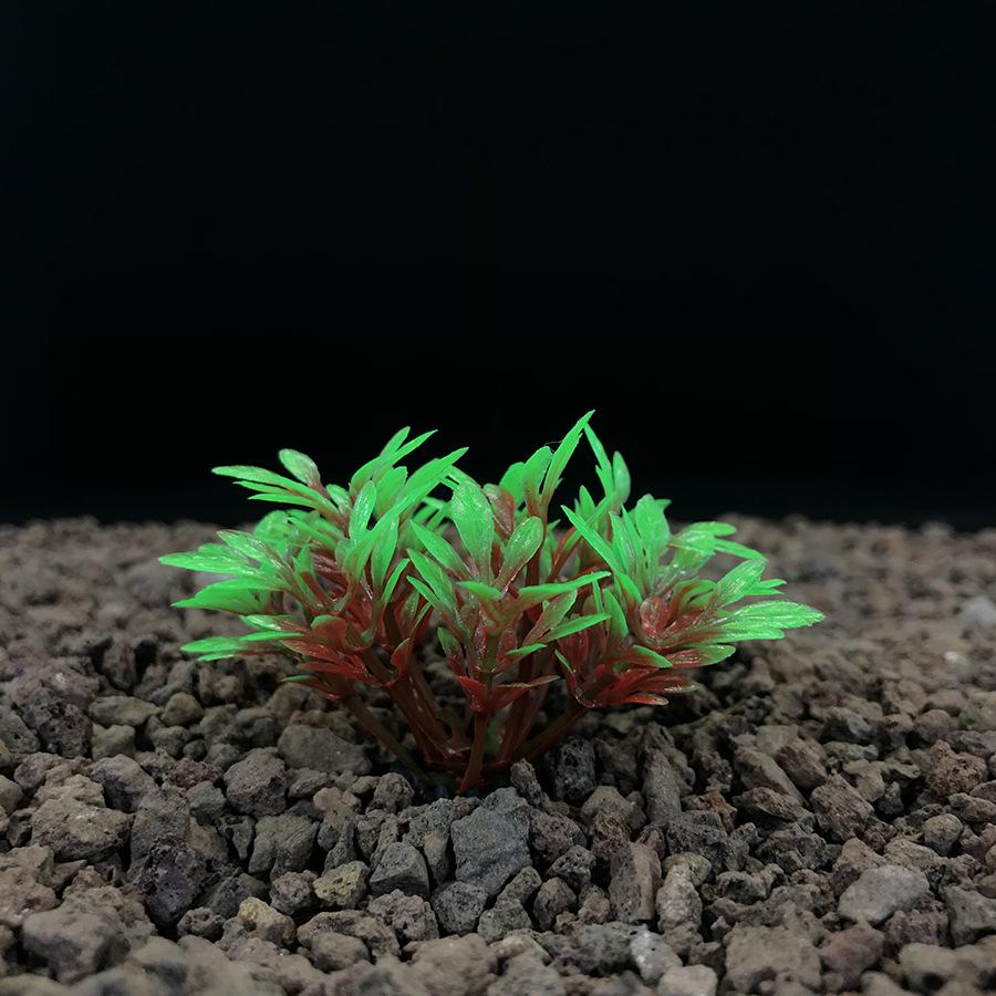 Aquatic Plant Mini Landscape: Fish Tank Simulation with Seaweed and Succulents
