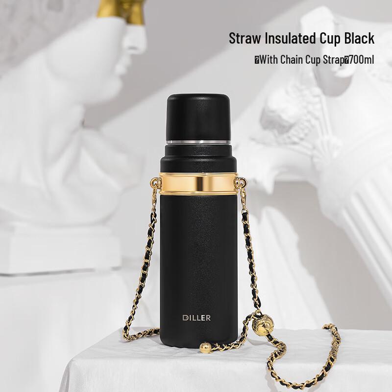 Diller 316 Stainless Steel Insulated Straw Water Bottle
