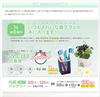 [Japanese Brand] Luna Life UV Toothbrush Sterilizer Steri Cube Portable Toothbrush Case Rechargeable 99.9% Sterilization Evidence Proven 2-Pack White