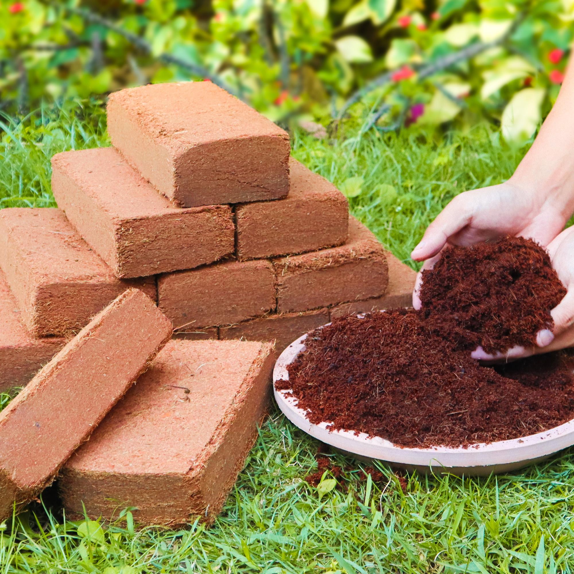

6pcs Coco Coir Brick for Plants- Premium 100% Organic Peat Moss, Fiber Coconut Husk for Planting, Gardening