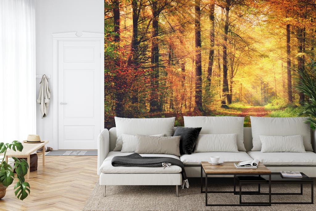 Photomural Forest Autumn Colors Self-Adhesive Mural 180x120