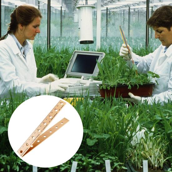 Wooden Plant Ruler Foldable Planting Ruler with Holes Smooth Edge Burr Free Easy To Use Lightweight Portable Garden Ruler