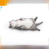 Pvc Realistic Cat Model For Kids Educational Collection Home Decor
