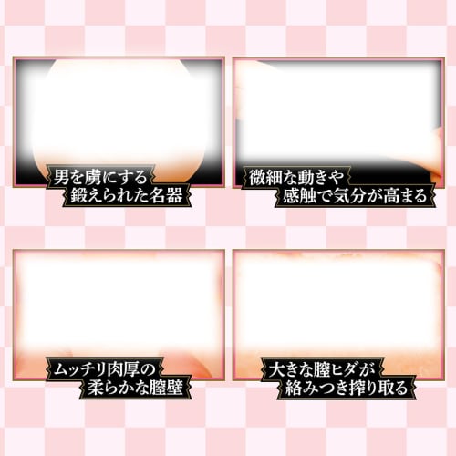 Manyuu Chichochou Madarame Momiji Made in Japan Onahole Non-penetrating Type 390g Tama Project