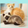 Süßes sitzendes Katzen-Stofftier Weiches Spielzeug mit realistischem Design und hochwertigem Material