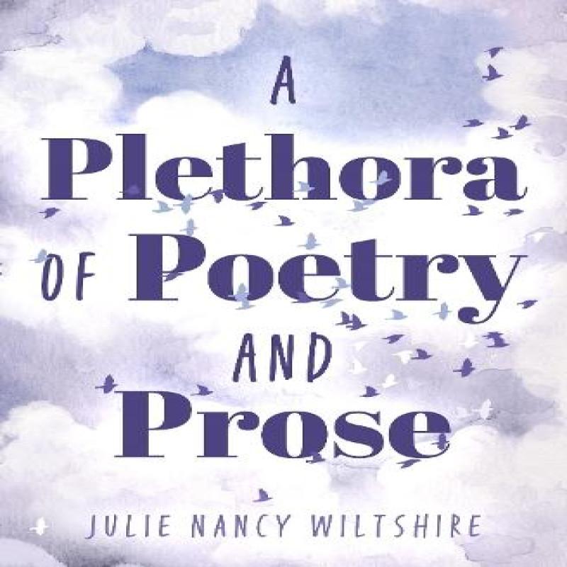 A Plethora of Poetry and Prose by Julie Nancy Wiltshire Hardback Book 9781836283294