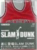 SLAM DUNK Demo DVD