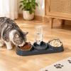 15 Degrees Raised Cat Automatic Water Dispenser Double Bowl Pet Food Container  Rabbits