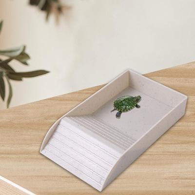 Vasca per rettili, vasca per acqua, custodia per animali acquatici, scatola per riproduzione, gamberetti, tartarughe, guppy