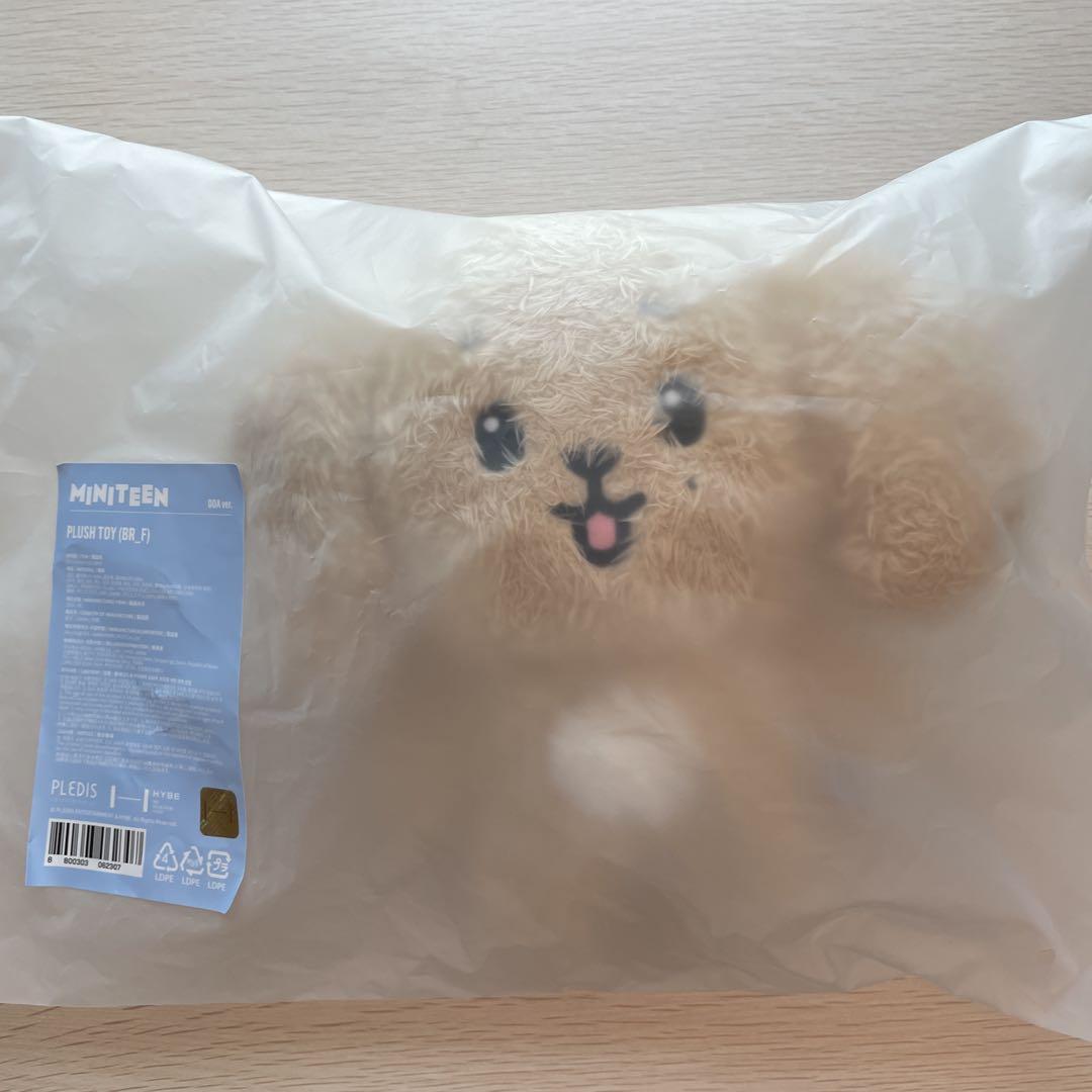 

[USED] MINITEEN Pop-up Plush Toy DK Seventeen