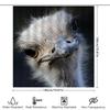 Large Print Shower Curtain With Eye-Catching Ostrich Design For Bathroom Decor Waterproof Fabric Material (Blue)