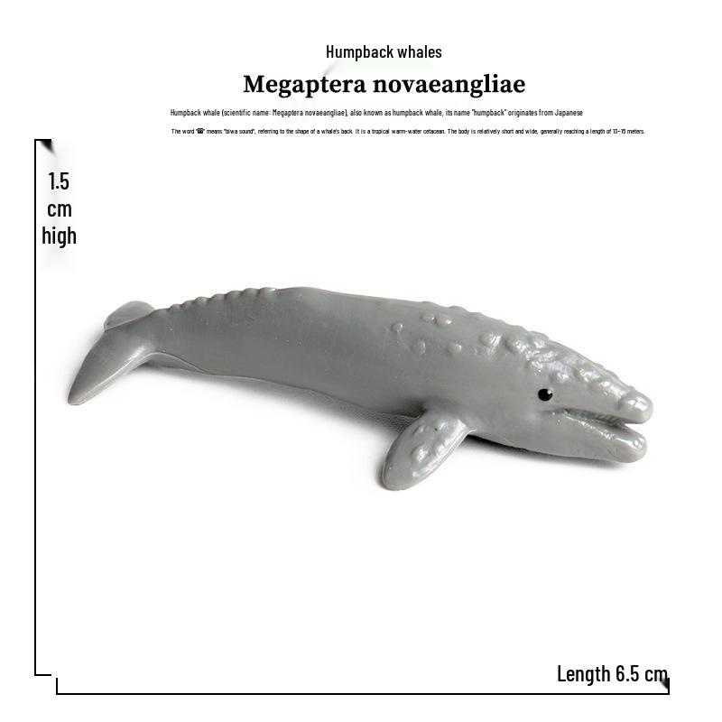Children's Marine Animal Toy Set: Megalodon, Beluga, Octopus, Turtle, Dolphin & Manta Ray
