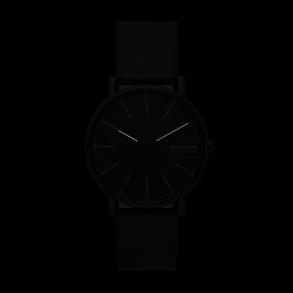 Skagen Signatur Watch SKW6902