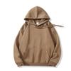 2025 autumn and winter new hooded sweater women's solid color college style loose casual velvet popular trendy brand Japanese and Korean style