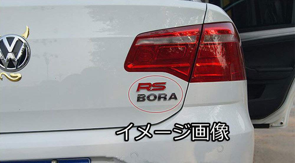 SUNNY Metallic Letter Emblem Set RS Sticker Silver Metallic 3D