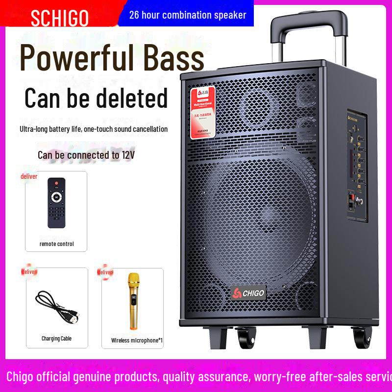 Chigo High-Power Outdoor Bluetooth Trolley Speaker for Music & Karaoke