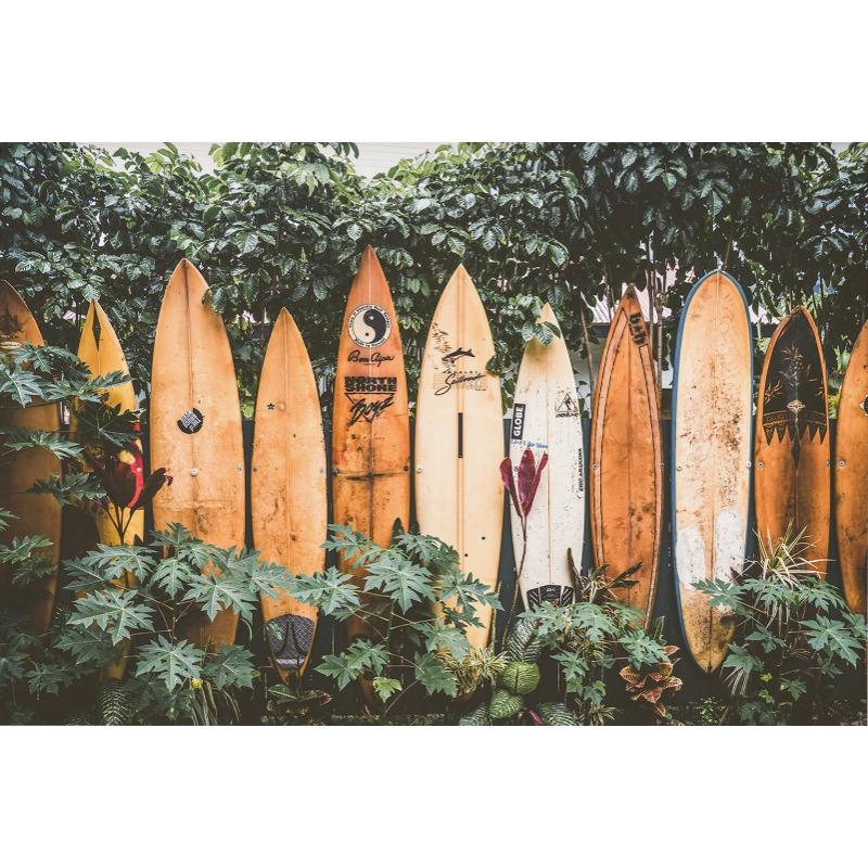 Tropical Summer Beach Shell Palm Tree Surfboard Poster Print Nordic Canvas Printing Wall Art Picture for Surfing Club Home Decor