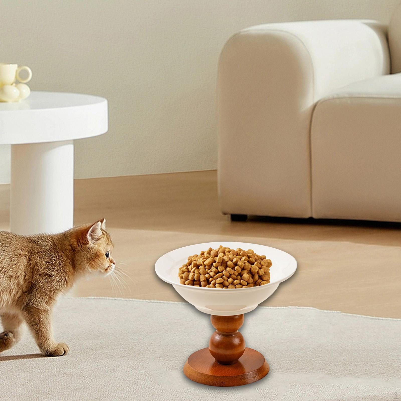 

Высокая миска для кошек, против рвоты, кормушка для домашних животных, питьевая защита для шеи, контейнер для закусок для собак White Brown