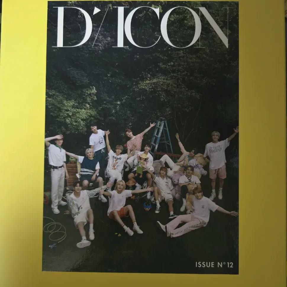 

Seventeen D Icon Уджи