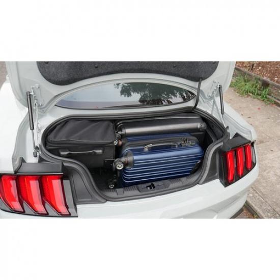 For Ford Mustang 2015- Trunk Tailgate Lift Supports Rod Gas Struts 2Pcs