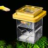 Detachable Guppy Breeder Box Transparent Fish Tank Divider Floating Hatching Box  Fish Breeding