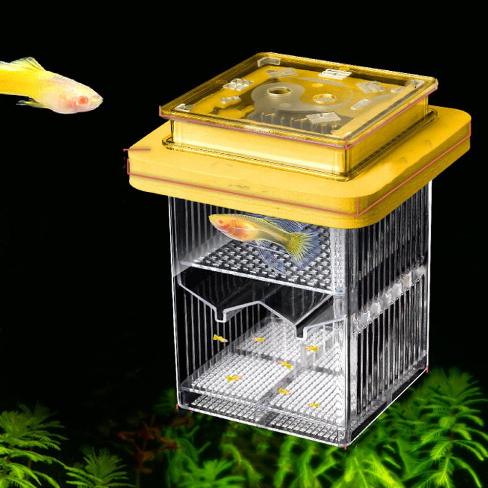Detachable Guppy Breeder Box Transparent Fish Tank Divider Floating Hatching Box  Fish Breeding