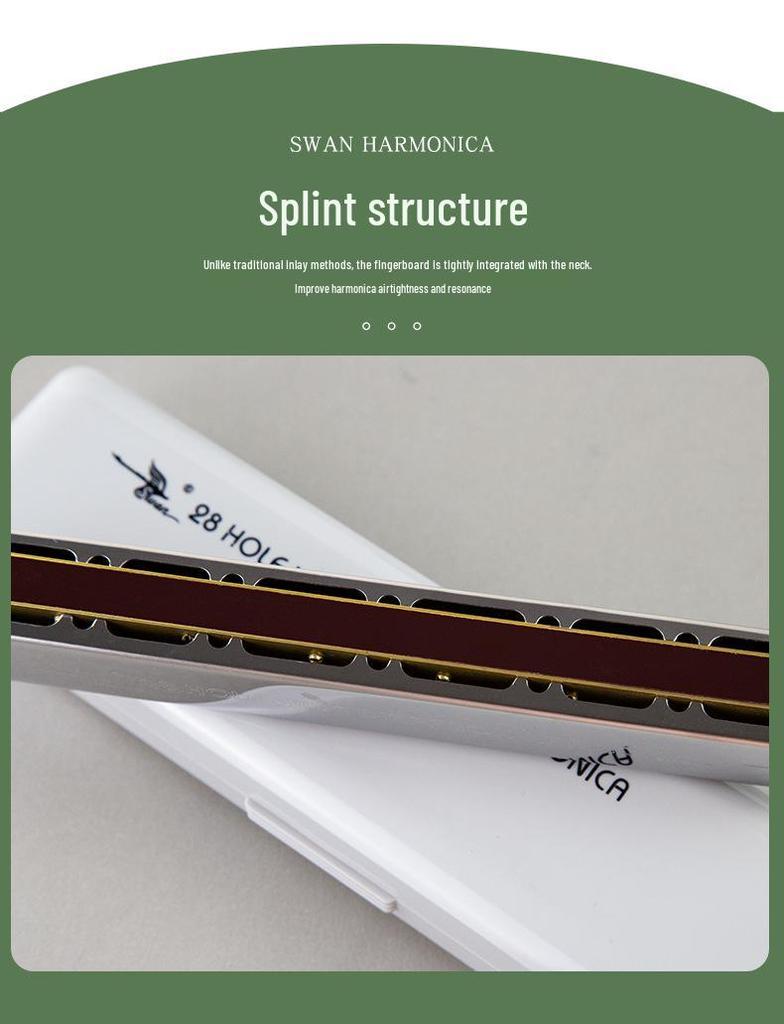 Swan Harmonica: Professional Double Reed, C Key, 24/28 Holes for Beginners & Adults