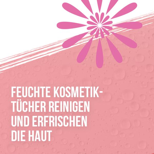 Deutschland Rothman ISANA Feuchtigkeitskosmetik-Reinigungstücher 25 Stück
