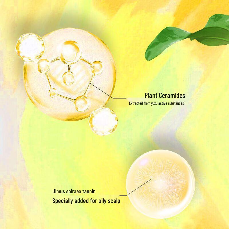 Syoss Oil Control Volumizing Shampoo