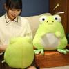 New Two-tone Cashmere Little Frog Plush Toy Smiling Frog Doll Children's Companion Doll 20cm 0.15kg