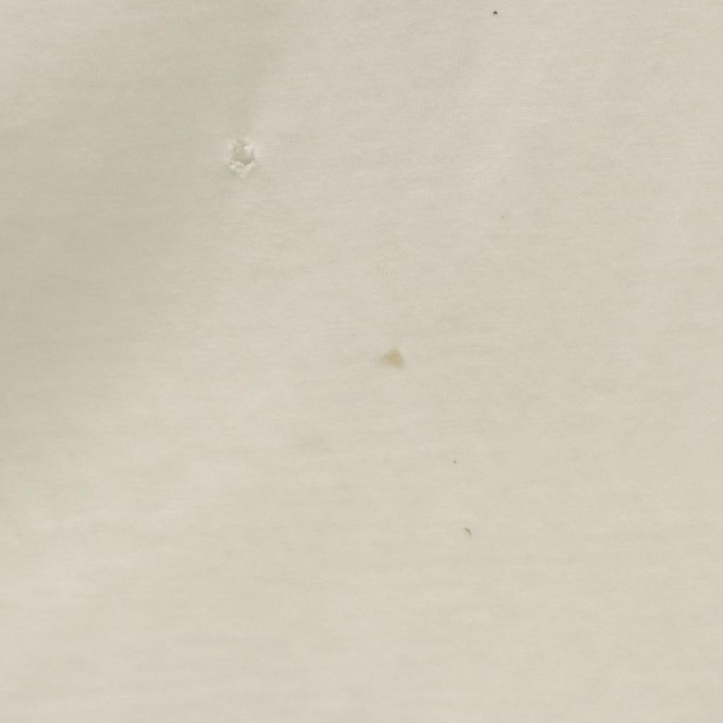 Hanes 90s Made in USA Old Short sleeve T-shirt XL BEEFY-T single stitch Men's Used