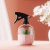 Garden Sprayers 500ml for Cleaning Solution Gardening for Plants Misting