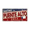 Chile Argentina Ecuador Colombia License Plate Landmark Metal Sign City State Decorative Car Plate Garage Club Bar Wall Decor