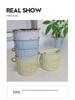 Retro Wrought Iron Wall-Mounted Hanging Flower Vase and Basket for Indoor/Outdoor Décor